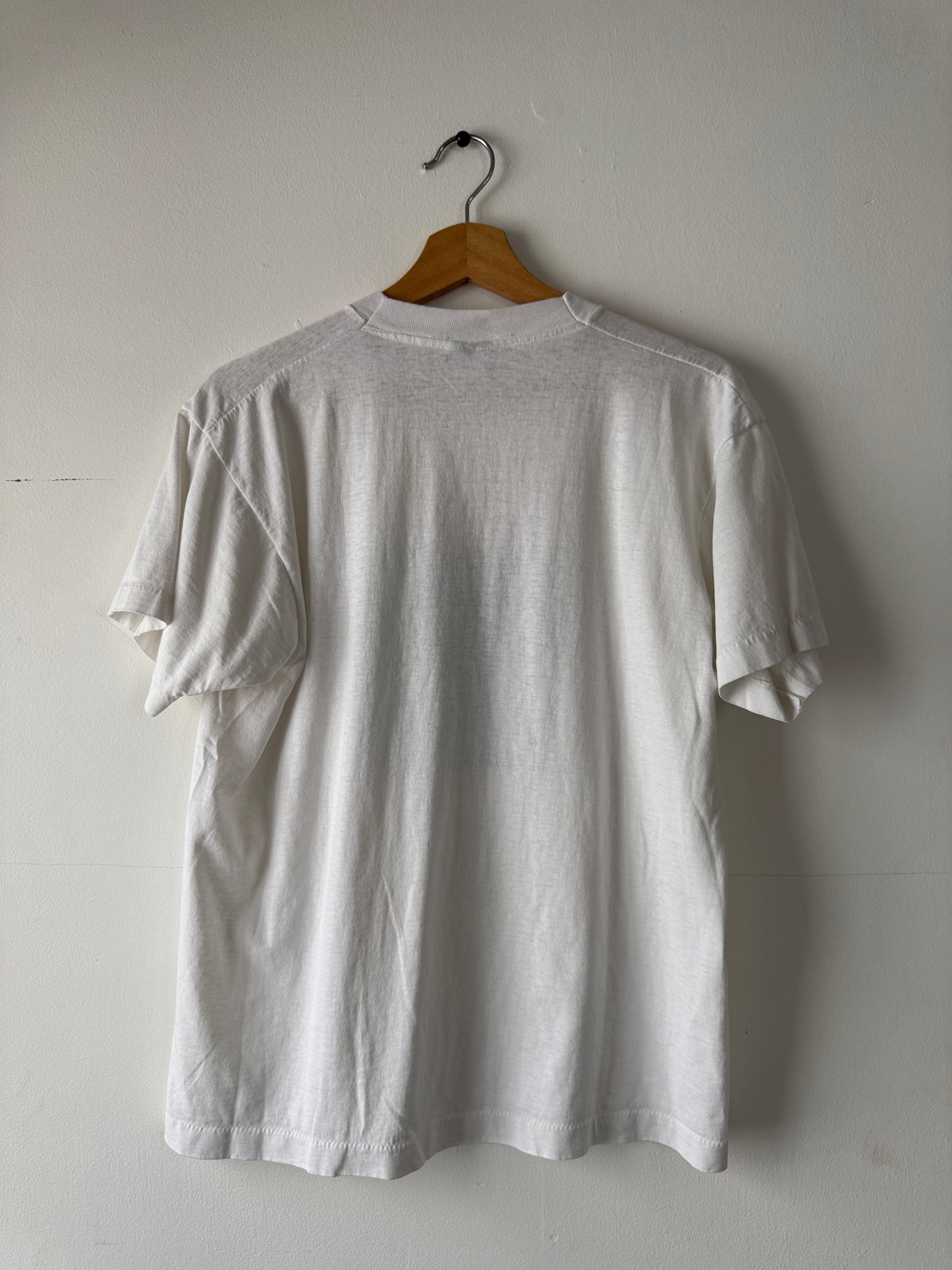 90s Illinois Caucus On Teenage Pregnancy Tee (M)